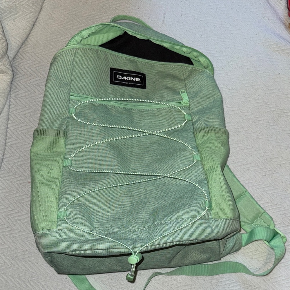 Dakine Light Green Backpack with Bungee Cord